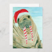 クリスマスのセイウチ シーズンカード (正面/裏面)