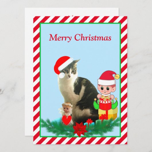 クリスマスのタビー猫ちゃん、エンジェル&かわいいエルフが赤い背景に (正面/裏面)