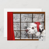 クリスマスのダルマチア人 シーズンポストカード (正面/裏面)
