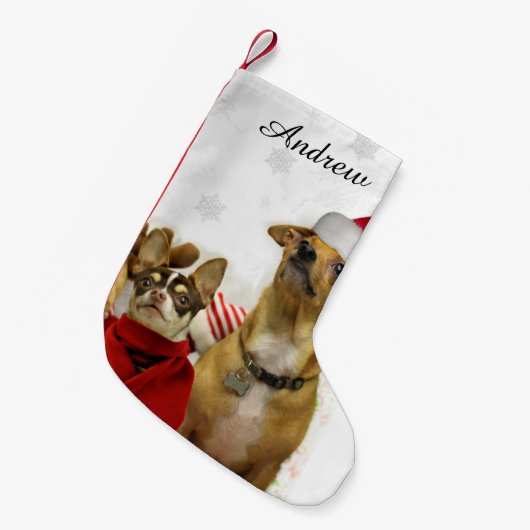 クリスマスのチワワは名前入りなストッキングの後をつけます スモールクリスマスストッキング (正面 (吊り時))