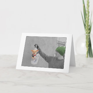 クリスマスのチワワカード シーズンカード