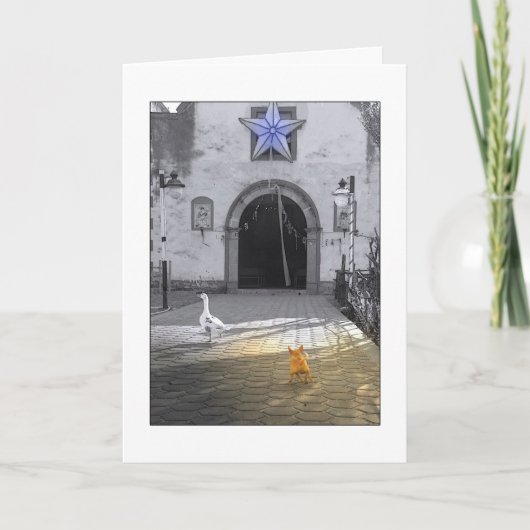 クリスマスのチワワカード シーズンカード (正面)