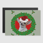 クリスマスのチワワ犬 (正面/裏面)