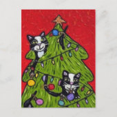 クリスマスのツリーに登る猫たち ポストカード (正面)