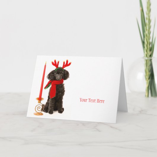 クリスマスのトイプードル犬 シーズンカード (正面)
