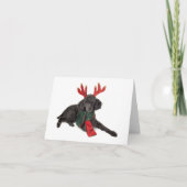 クリスマスのトナカイとして服を着る黒いトイプードル犬 シーズンカード (正面)