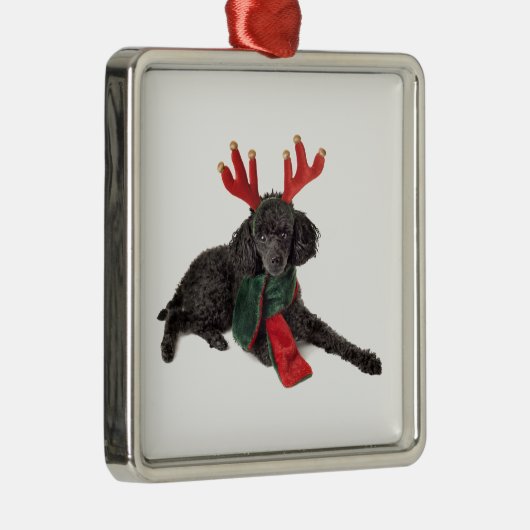 クリスマスのトナカイとして服を着る黒いトイプードル犬 メタルオーナメント (右)