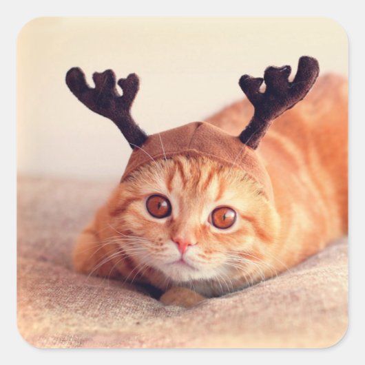 クリスマスのトナカイ帽をかぶった子猫 スクエアシール (正面)