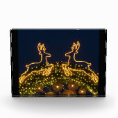 クリスマスのトナカイ フォトブロック (正面)