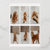 クリスマスのニューホームモダン 箔シーズンカード (裏面)