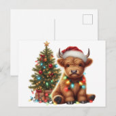 クリスマスのハイランドカウ ポストカード (正面/裏面)