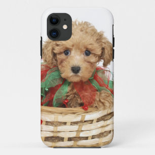クリスマスのバスケットに坐っているプードルの子犬 iPhone 11 ケース