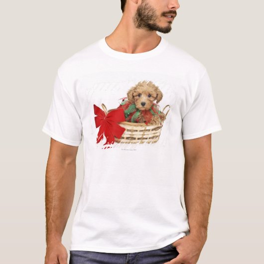 クリスマスのバスケットに坐っているプードルの子犬 Tシャツ (正面)