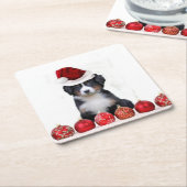 クリスマスのバーニーズ・マウンテン・ドッグ スクエアペーパーコースター (アングル)