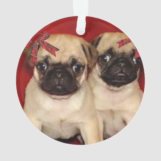 クリスマスのパグの子犬 オーナメント (裏面)