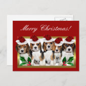 クリスマスのビーグル犬の子犬の郵便はがき シーズンポストカード (正面/裏面)