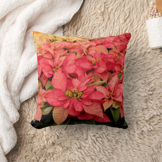 クリスマスのピンクおよび黄色いポインセチアの装飾用クッション クッション (ブランケット)
