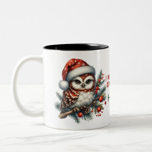 クリスマスのフクロウ君のクリスマスが面白いといいな ツートーンマグカップ (左)