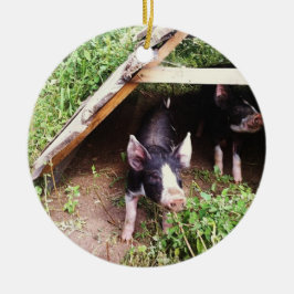 クリスマスのブタのオーナメント セラミックオーナメント