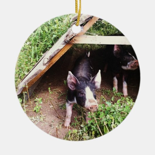 クリスマスのブタのオーナメント セラミックオーナメント (正面)
