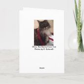 クリスマスのプレゼントと猫 シーズンカード (裏面)