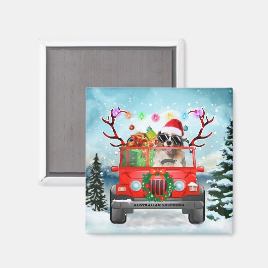 クリスマスのプレゼントを持つオーストラリアの羊飼いの犬 マグネット (正面/裏面)