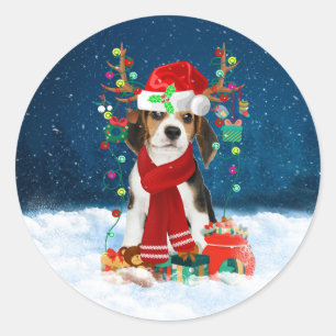 クリスマスのプレゼントを持つビーグル犬 ラウンドシール