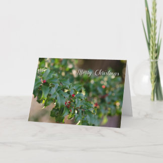 クリスマスのプレゼント シーズンカード