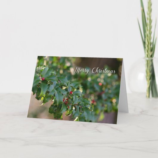 クリスマスのプレゼント シーズンカード (正面)