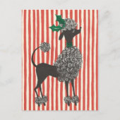 クリスマスのプードル シーズンポストカード (正面)