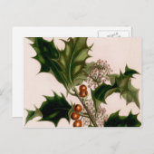 クリスマスのベリー シーズンポストカード (正面/裏面)