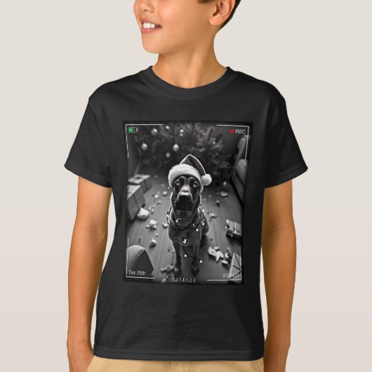 クリスマスのベルジアン・マリノアがカメラに捉えられた  Tシャツ (正面)