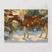 クリスマスのペイントホースの牝馬 冬の森 サンタの帽子 ポストカード (正面)