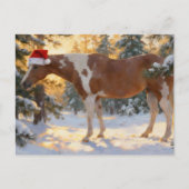 クリスマスのペイントホースの牝馬 冬の森 ポストカード (正面)