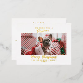 クリスマスのペットの写真 メリークリスマス 箔シーズンポストカード