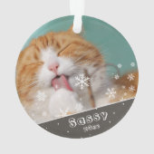 クリスマスのペット 猫 写真の記念品 オーナメント (裏面)