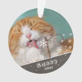 クリスマスのペット 猫 写真の記念品 オーナメント