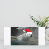 クリスマスのホッキョクグマ (スタンド正面)