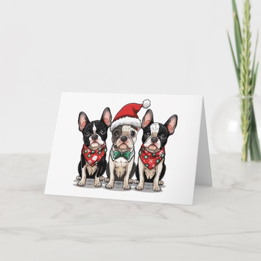 クリスマスのボストンテリア犬 シーズンカード (正面)