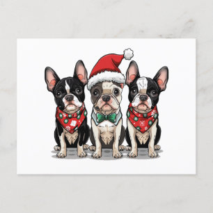 クリスマスのボストンテリア犬 シーズンポストカード