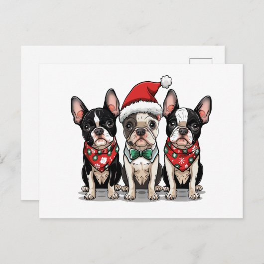 クリスマスのボストンテリア犬 シーズンポストカード (正面/裏面)