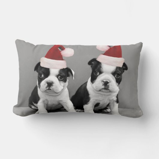 クリスマスのボストンテリア ランバークッション (正面)