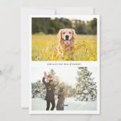 クリスマスのポインセチア写真 シーズンカード (裏面)