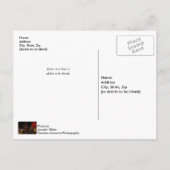 クリスマスのポストカードに点灯する ポストカード (裏面)