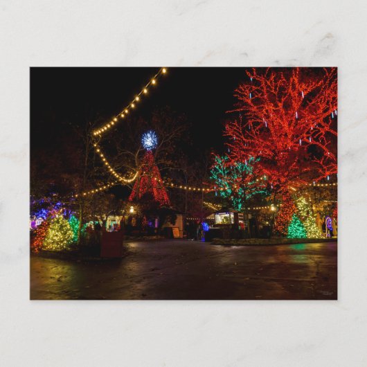 クリスマスのポストカードに点灯する ポストカード (正面)