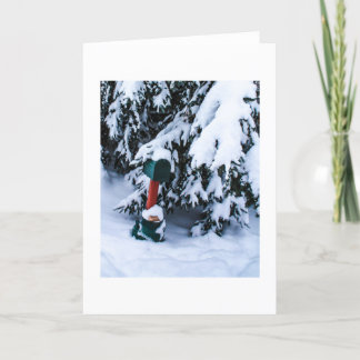 クリスマスのポスト2 シーズンカード