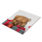 クリスマスのポメラニア犬の子犬 タイル (側面)