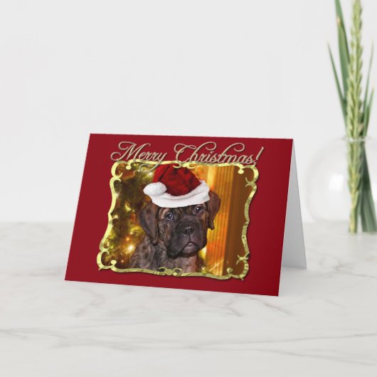 クリスマスのマスティフの子犬 シーズンカード (正面)