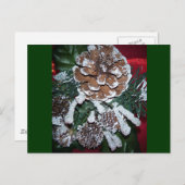 クリスマスのマツ円錐形 シーズンポストカード (正面/裏面)