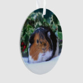 クリスマスのモルモットのオーナメント オーナメント (正面)